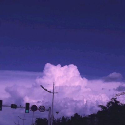 丛林战纪九游版下载
